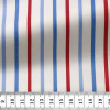 Twill Stripes Blue Red