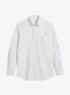 Shirt Brushed Oxford Plain White