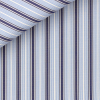 Poplin Stripes Blue