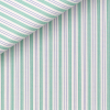 Poplin Stripes Green